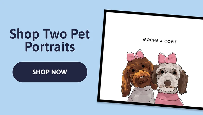 Shop Two Pet Portraits