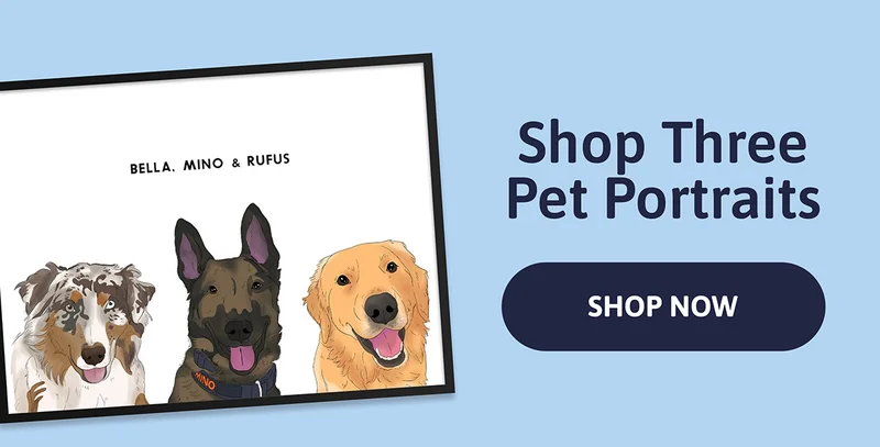 Shop Three Pet Portraits