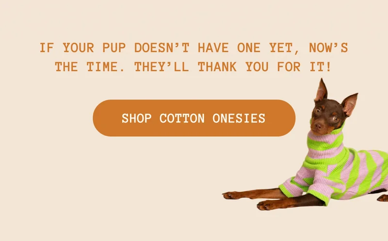 If your pup doesn’t have one yet, now’s the time. They’ll thank you for it!