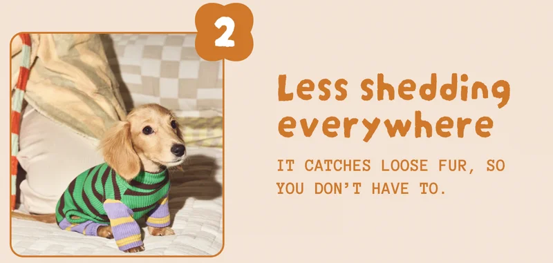 Less shedding everywhere