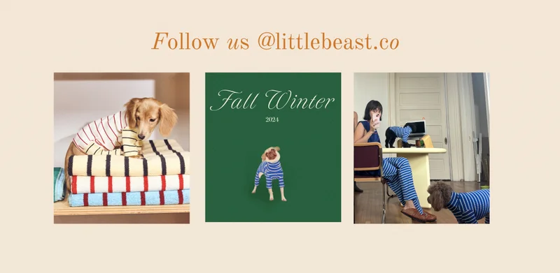 Follow us on Instagram