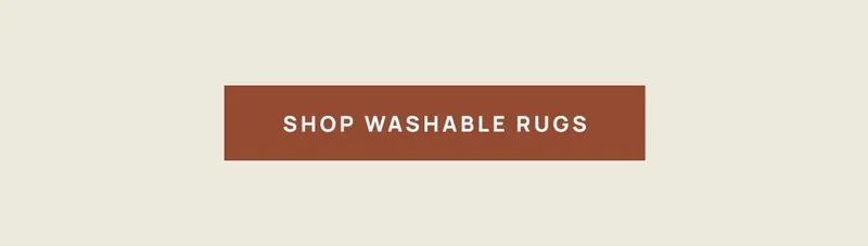 Shop All Rugs
