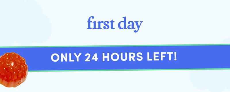 Only 24 hours left!