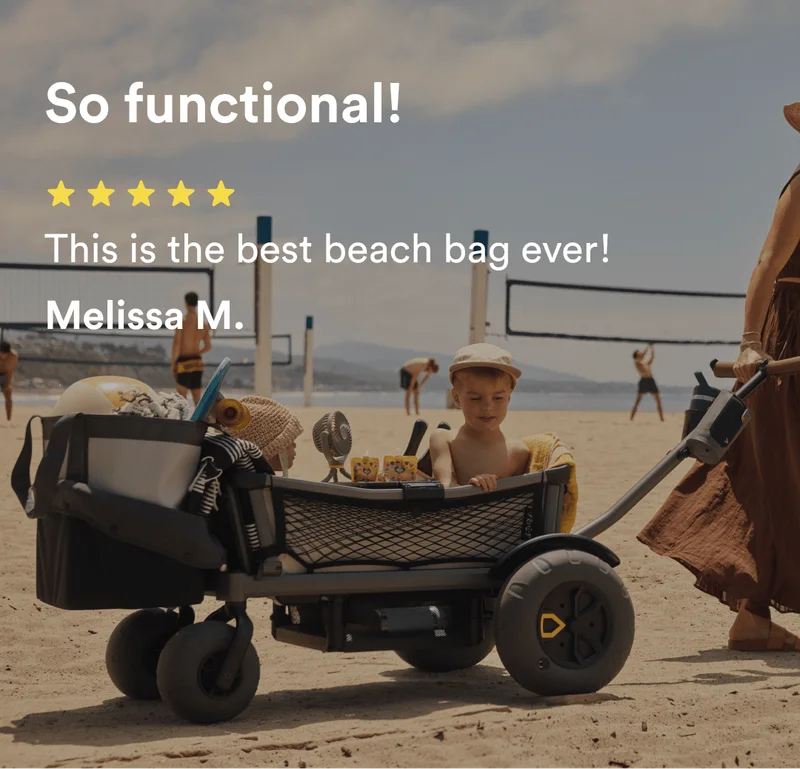 veer tote customer review