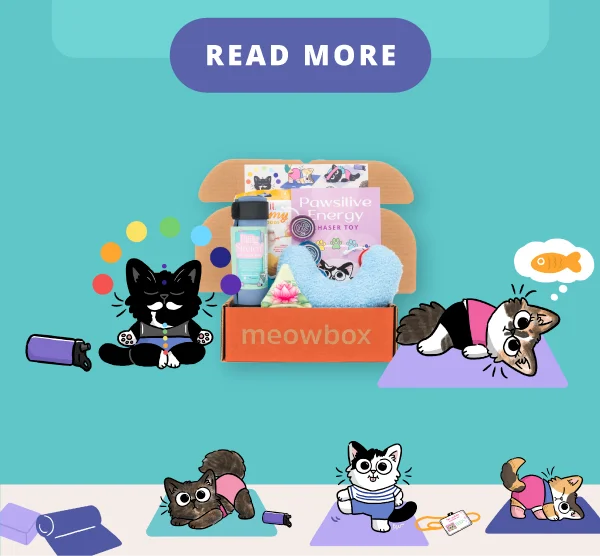 Read more. Image of Kitty Cats on Mats meowbox with Pawsitive Energy Chakra Chaser Toy, Biiig Stretch! Yoga Mat, Feline Flow Yoga Pillow cat toys and more.