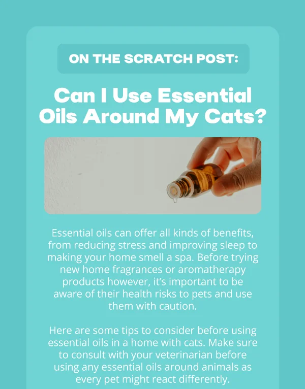 On the Scratch Post:  Can I Use Essential Oils Around My Cats? Image of a hand pouring aromatherapy oil. Essential oils can offer all kinds of benefits, from reducing stress and improving sleep to making your home smell a spa. Before trying new home fragrances or aromatherapy products however, it’s important to be aware of their health risks to pets and use them with caution.  Here are some tips to consider before using essential oils in a home with cats. Make sure to consult with your veterinarian before using any essential oils around animals as every pet might react differently.
