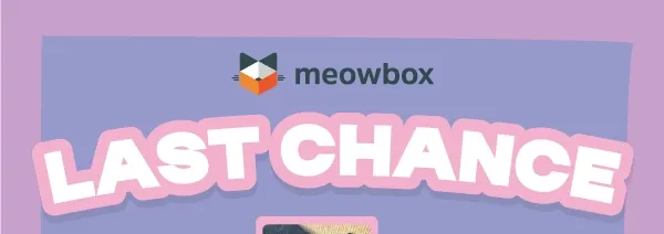 Last chance!