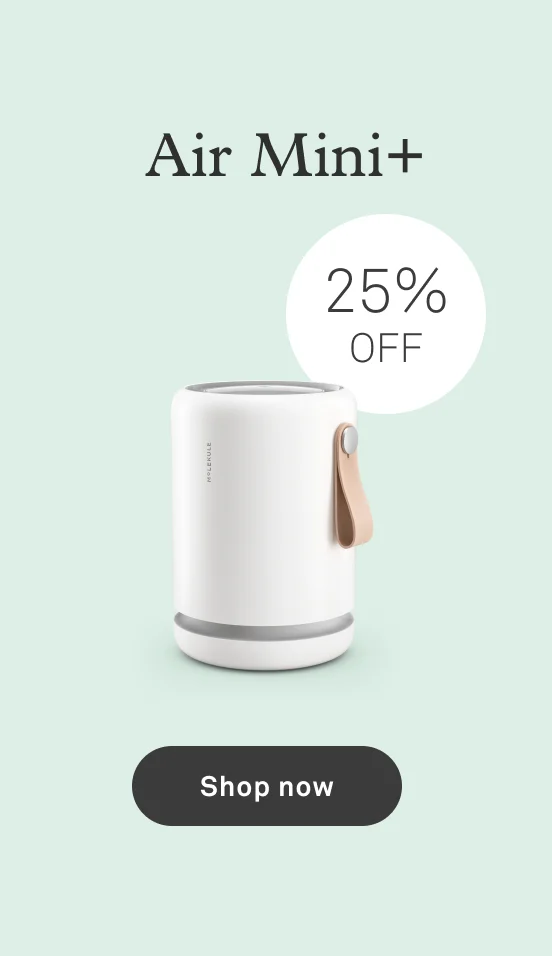 Air Mini+: 25% off