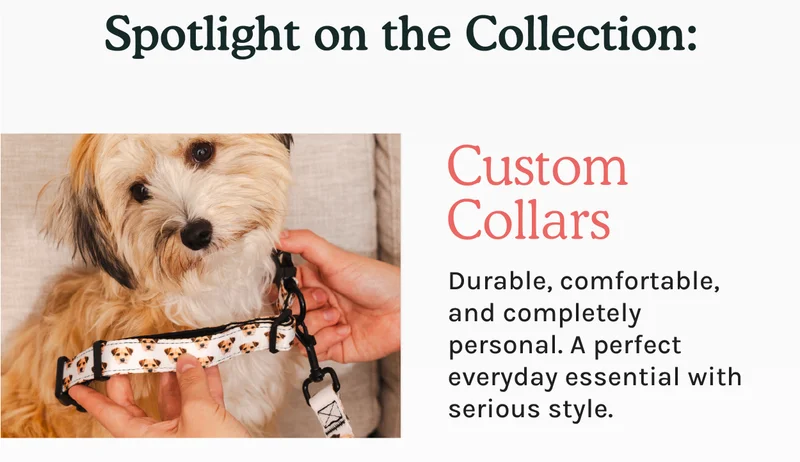 Custom Collars