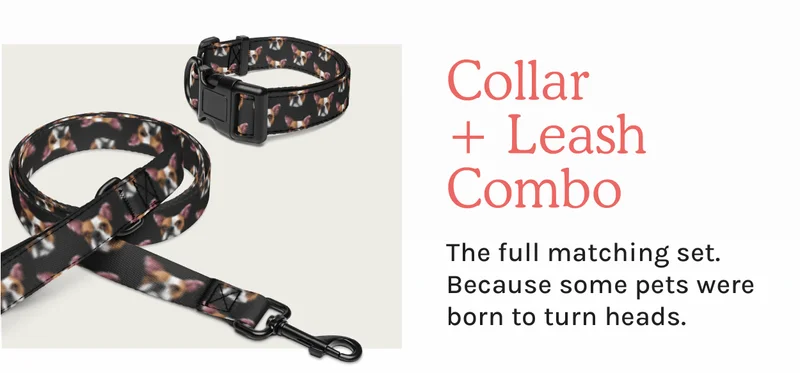 Collar and Leash Combo