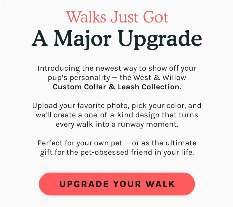 Upgrade Your Walk