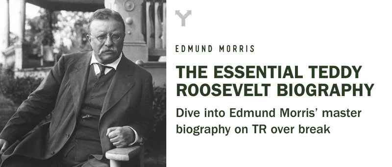 rise of teddy roosevelt