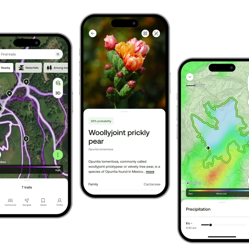 3 app phone screens showing new Peak features