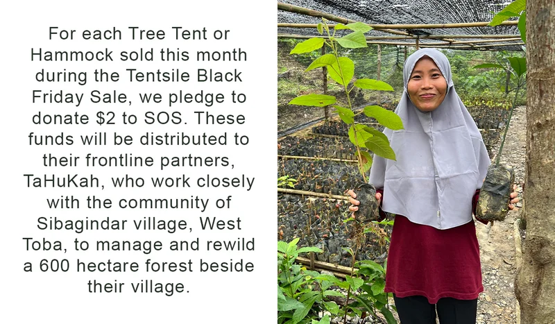 Sumatran Orangutan Society - Info 2