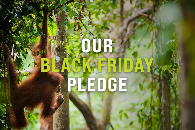 Our Black Friday Pledge