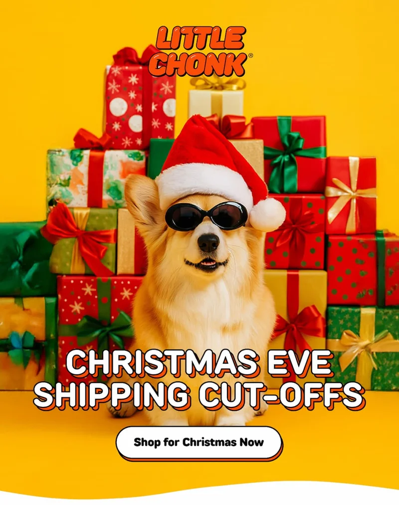 CHRISTMAS EVE SHIPPING CUT-OFFS CHRISTMAS EVE SHIPPING CUT-OFFS