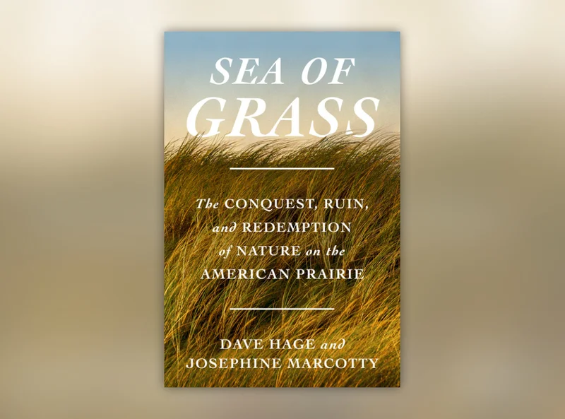 Sea of Grass