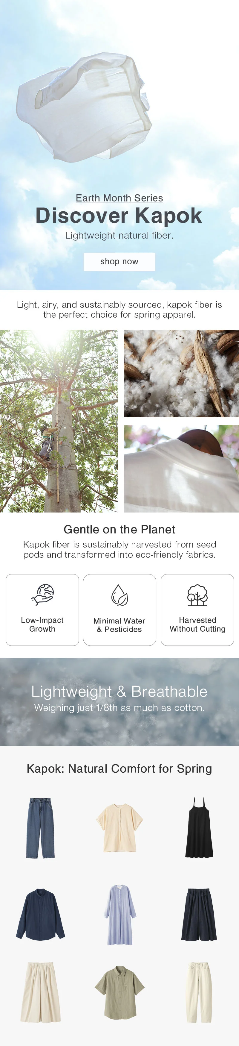 Shop Kapok: Lightweight natural fiber