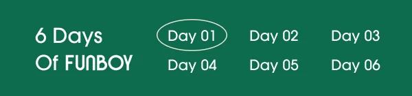 6 Days of FUNBOY