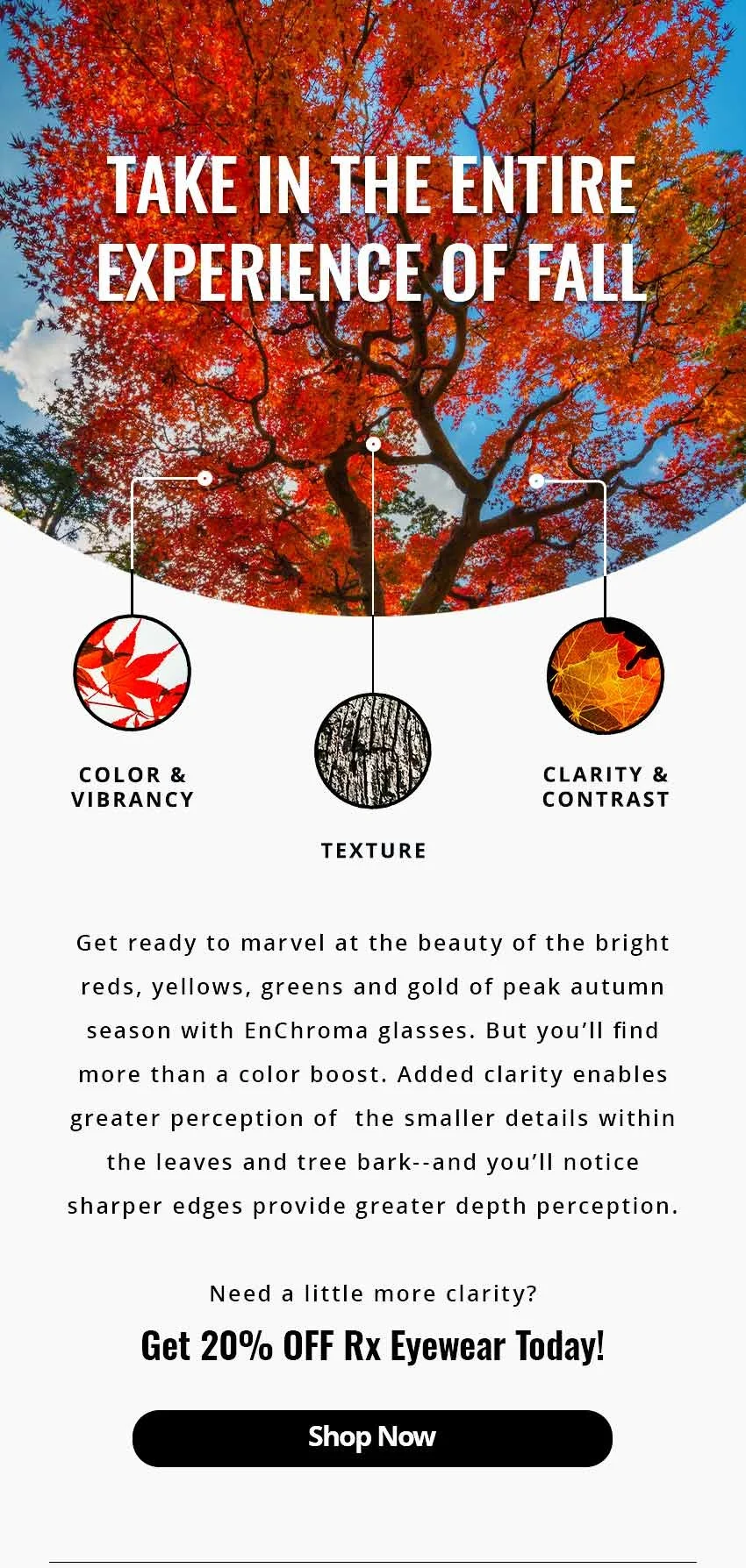 Get 20% Off Rx Eyewear Today!