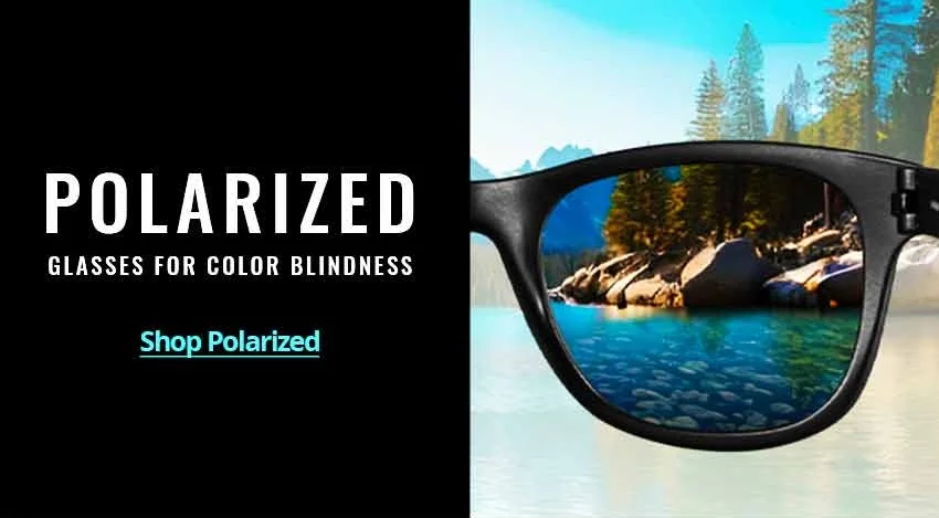 Shop Polarized
