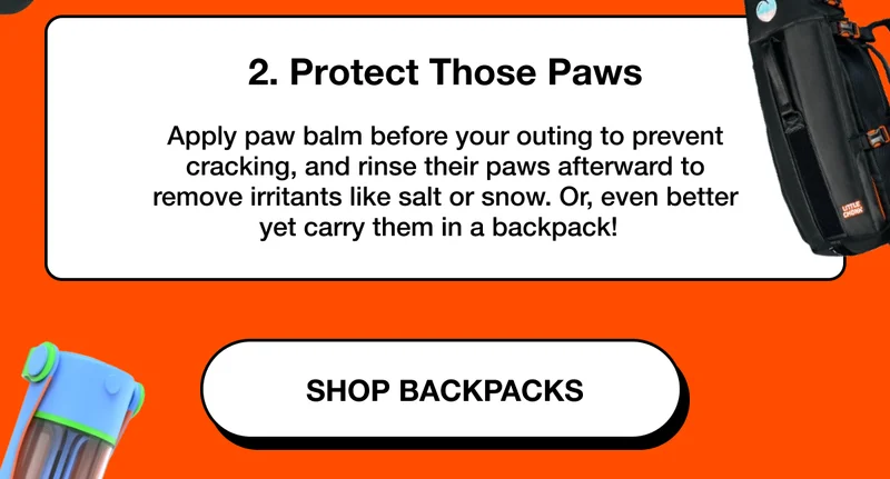 Apply paw balm before your outing to prevent cracking, and rinse their paws afterward to remove irritants like salt or snow. Or, even better yet carry them in a backpack!