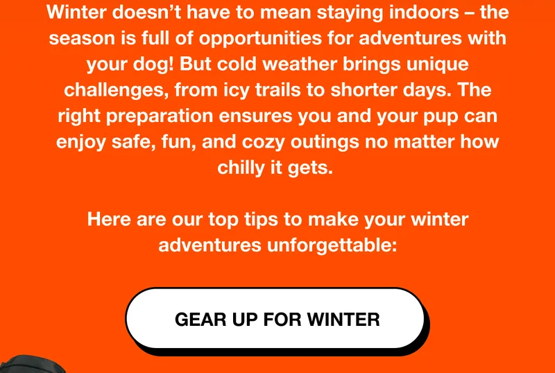 Here are our top tips to make your winter adventures unforgettable: