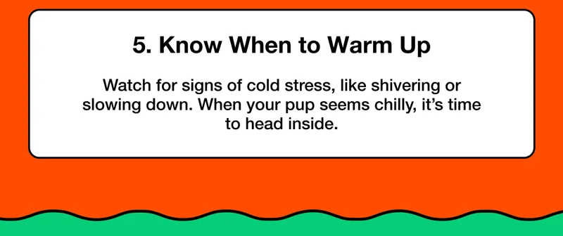 Watch for signs of cold stress, like shivering or slowing down. When your pup seems chilly, it’s time to head inside.