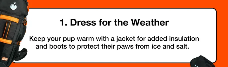 Keep your pup warm with a jacket for added insulation and boots to protect their paws from ice and salt.