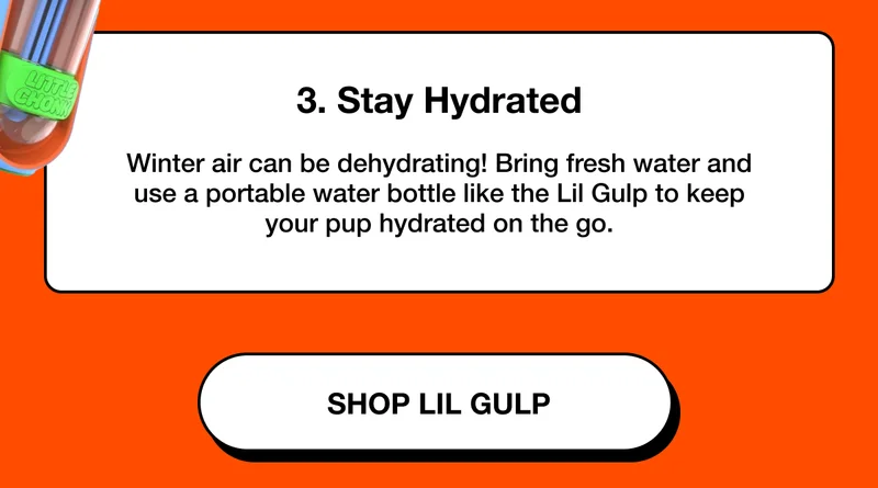Winter air can be dehydrating! Bring fresh water and use a portable water bottle like the Lil Gulp to keep your pup hydrated on the go.