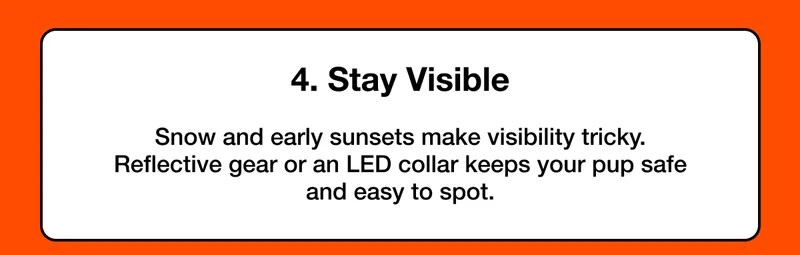 Snow and early sunsets make visibility tricky. Reflective gear or an LED collar keeps your pup safe and easy to spot.