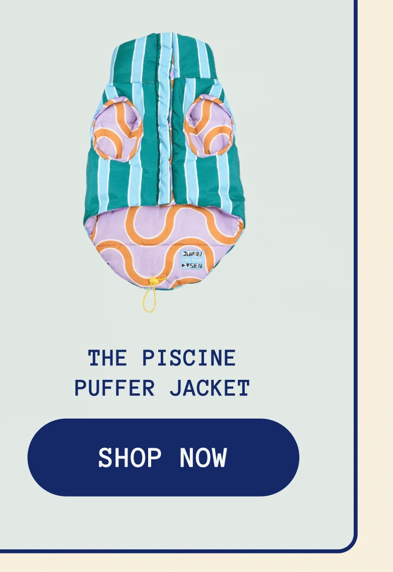 The Piscine Puffer Jacket