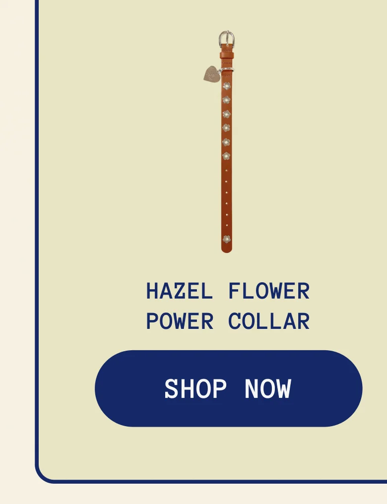Hazel Flower Power Collar
