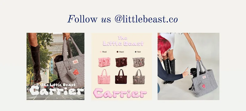 Follow us on Instagram
