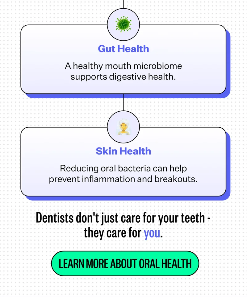 Gut Health - A healthy mouth microbiome supports digestive health. | Skin Health - Reducing oral bacteria can help prevent inflammation and breakouts. | Dentists don't just care for your teeth - they care for you. | Learn More About Oral Health