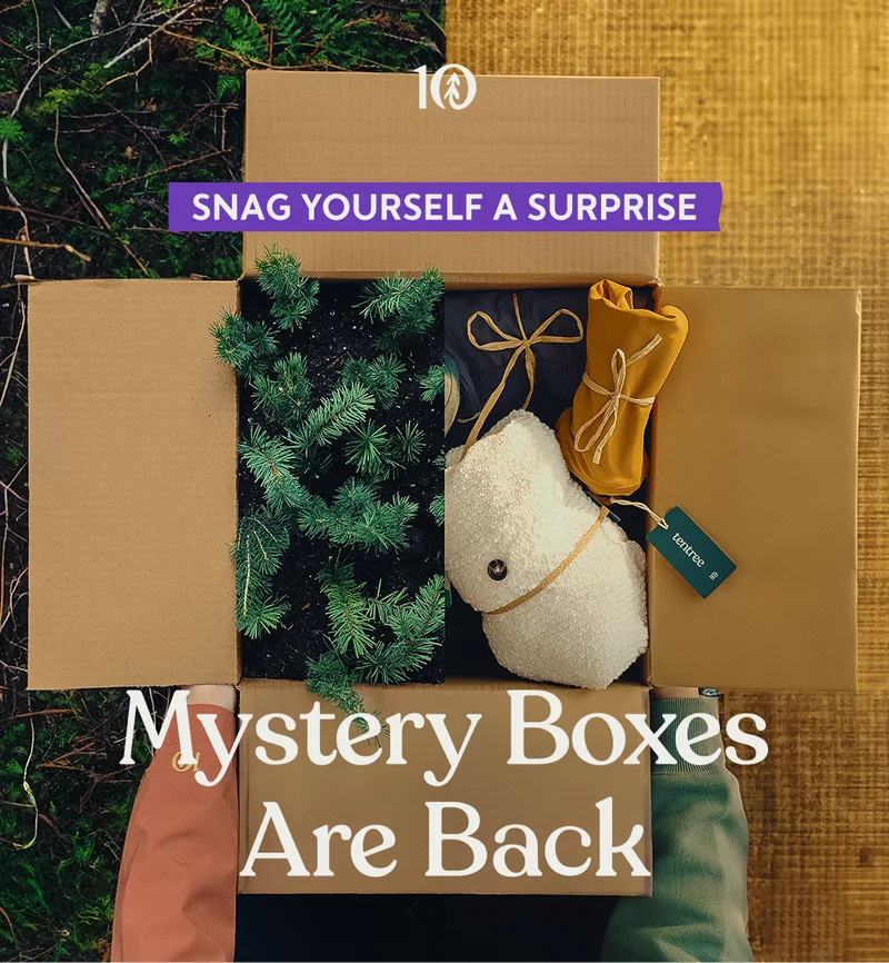 Snag Yourself A Surprise. Mystery Boxes Are Back