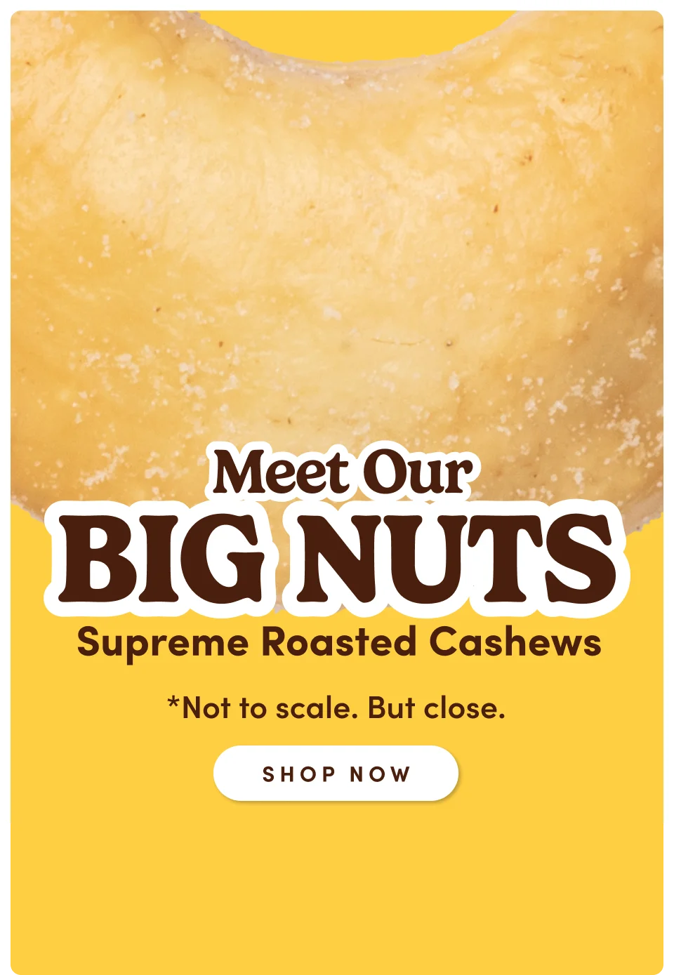 Meet Our Big Nuts *Not to scale. But close; Shop now Meet Our Big Nuts *Not to scale. But close; Shop now