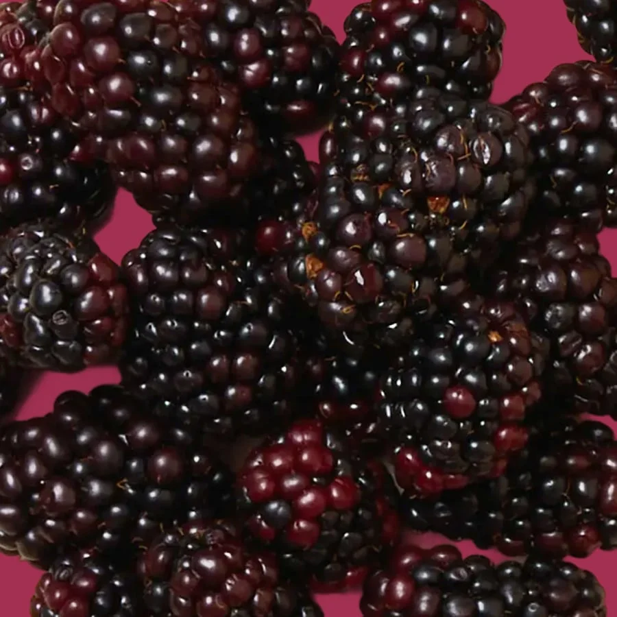 Organic Blackberries