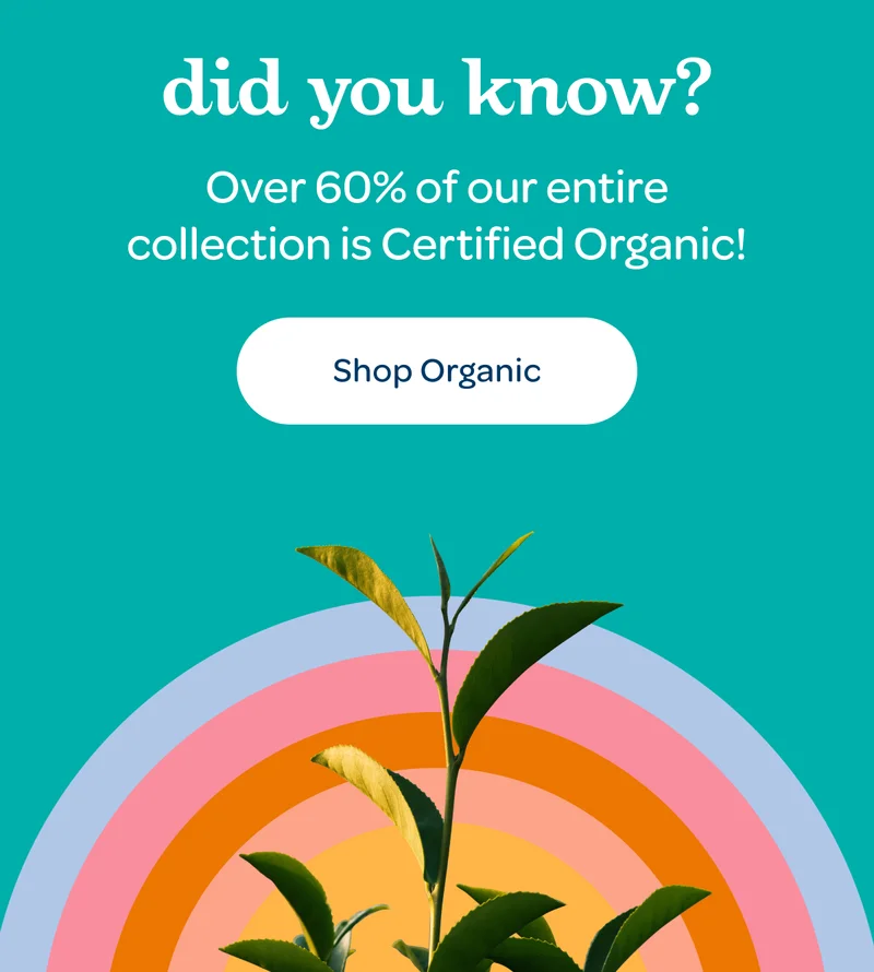 Over 60% of our entire collection is Certified Organic! - Shop Organic