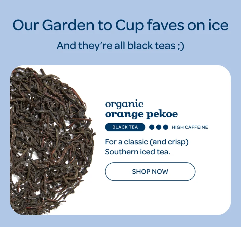 Organic orange pekoe - Shop now