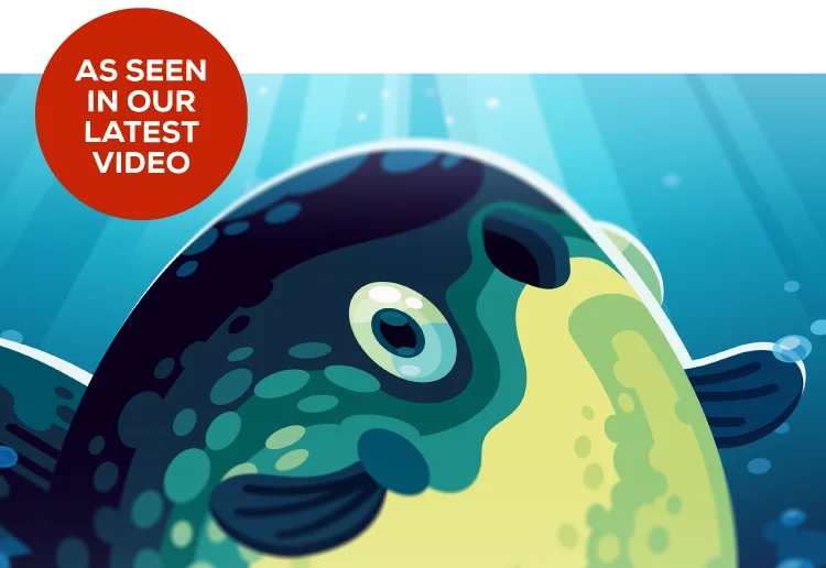 The Majestic Mola Mola, as Seen in Our Latest Video
