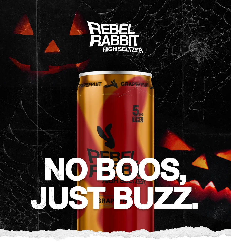 Rebel Rabbit: No Boos, Just Buzz