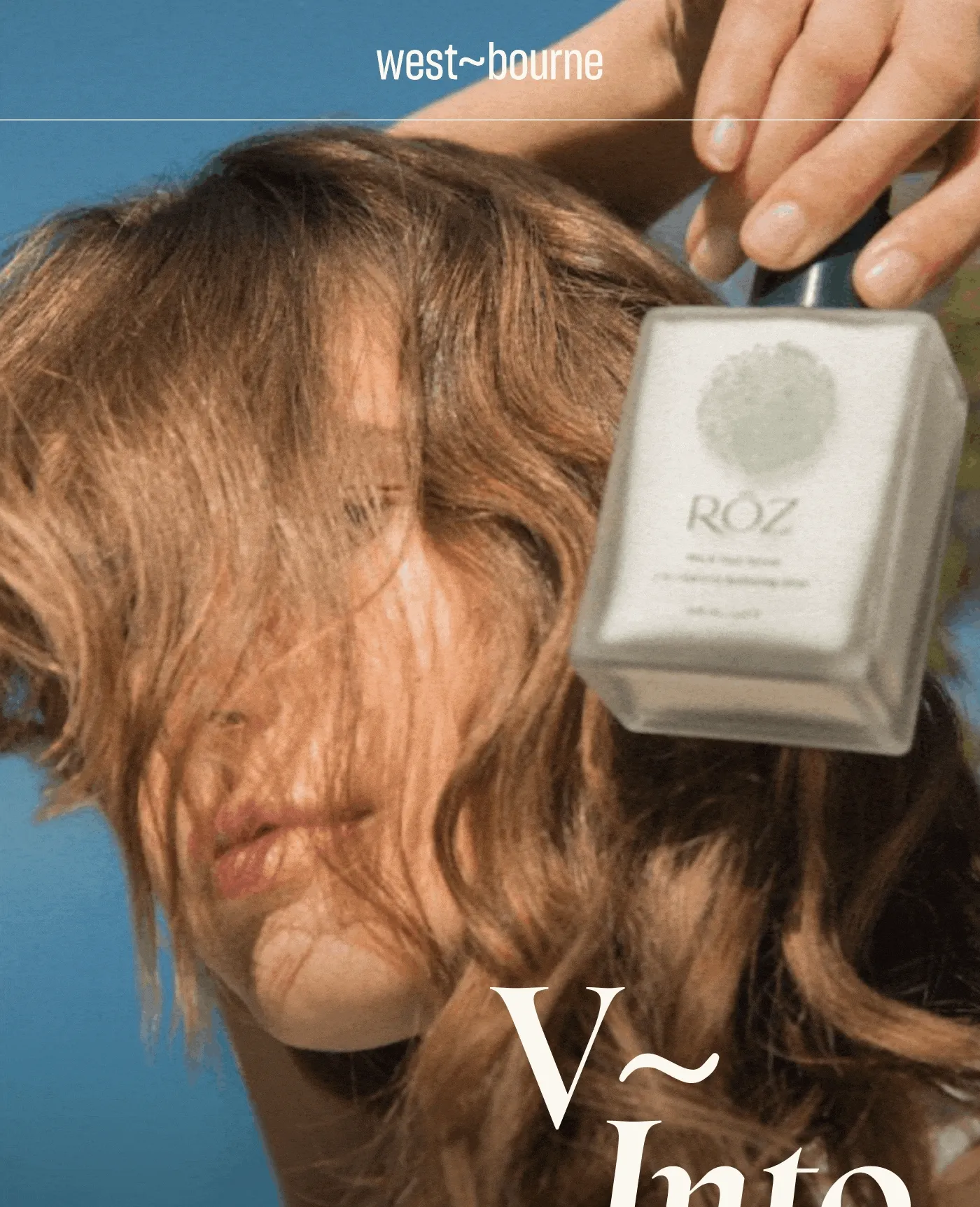 V~Into: