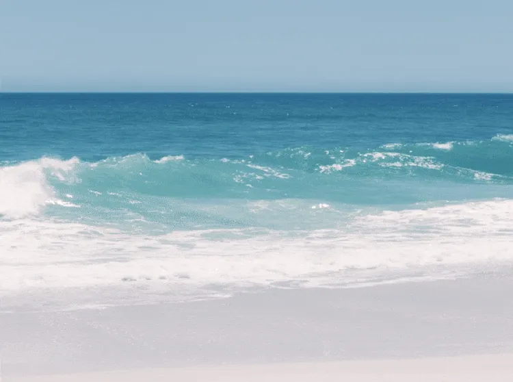 Be one with the waves. Be love.