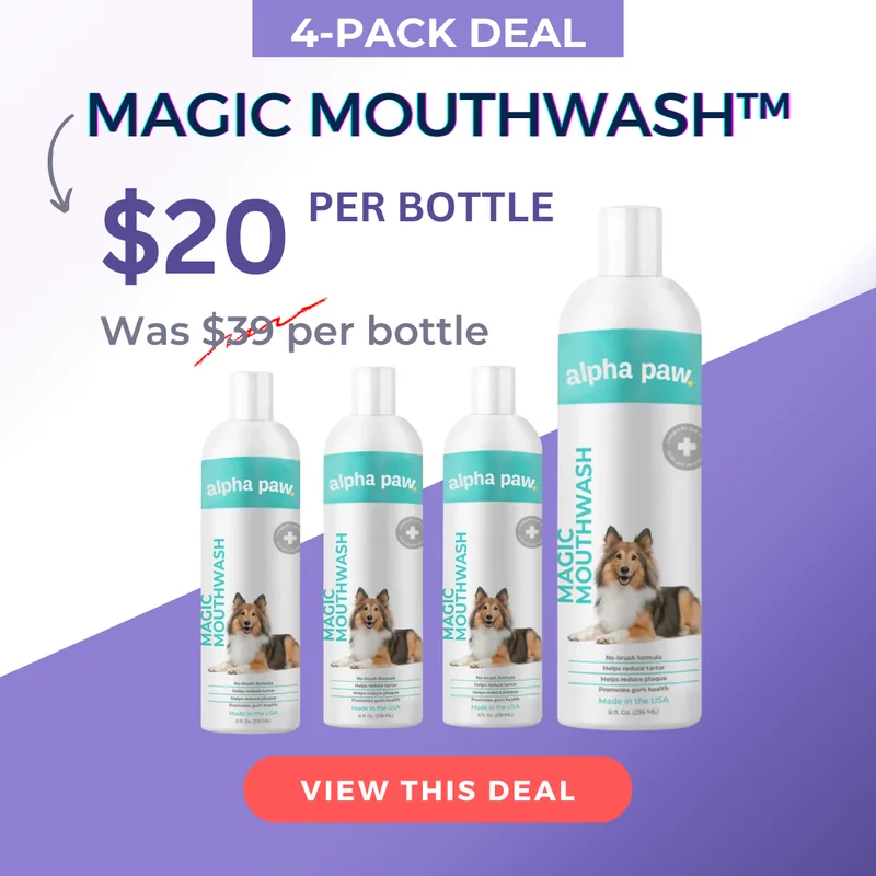 Magic Mouthwash 4 pack