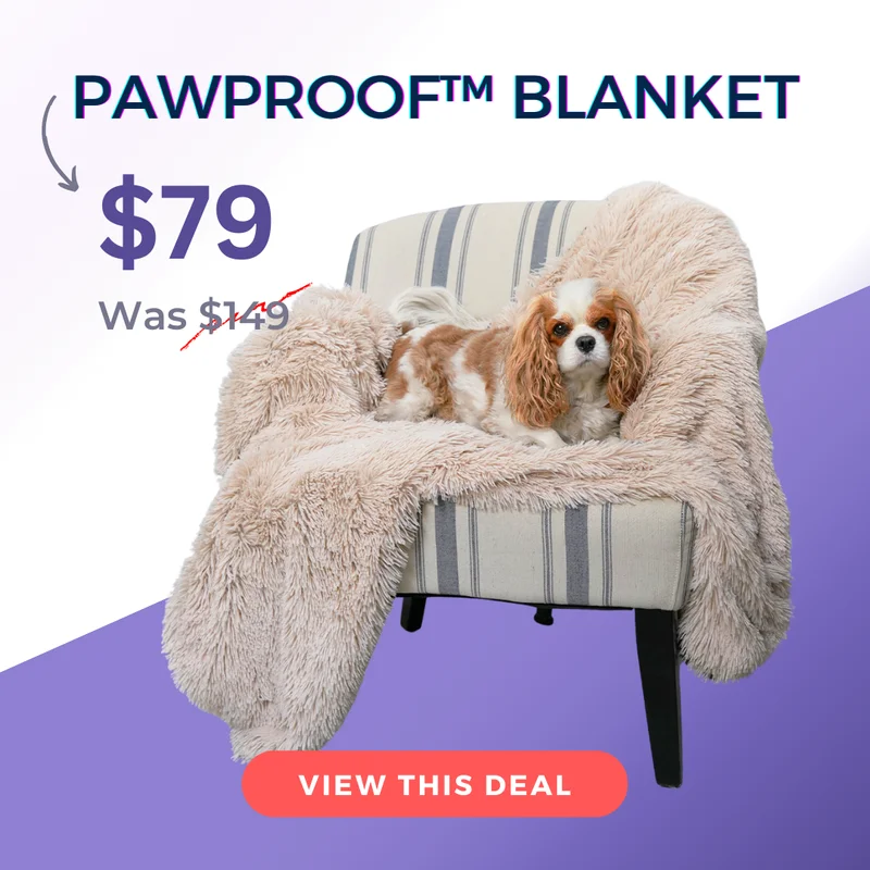 PawProof Blanket