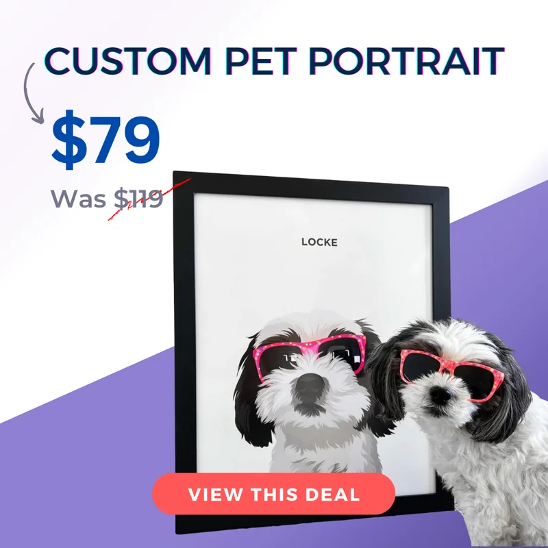 Custom pet portrait