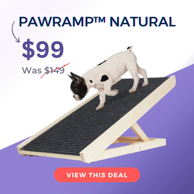 PawRamp Natural