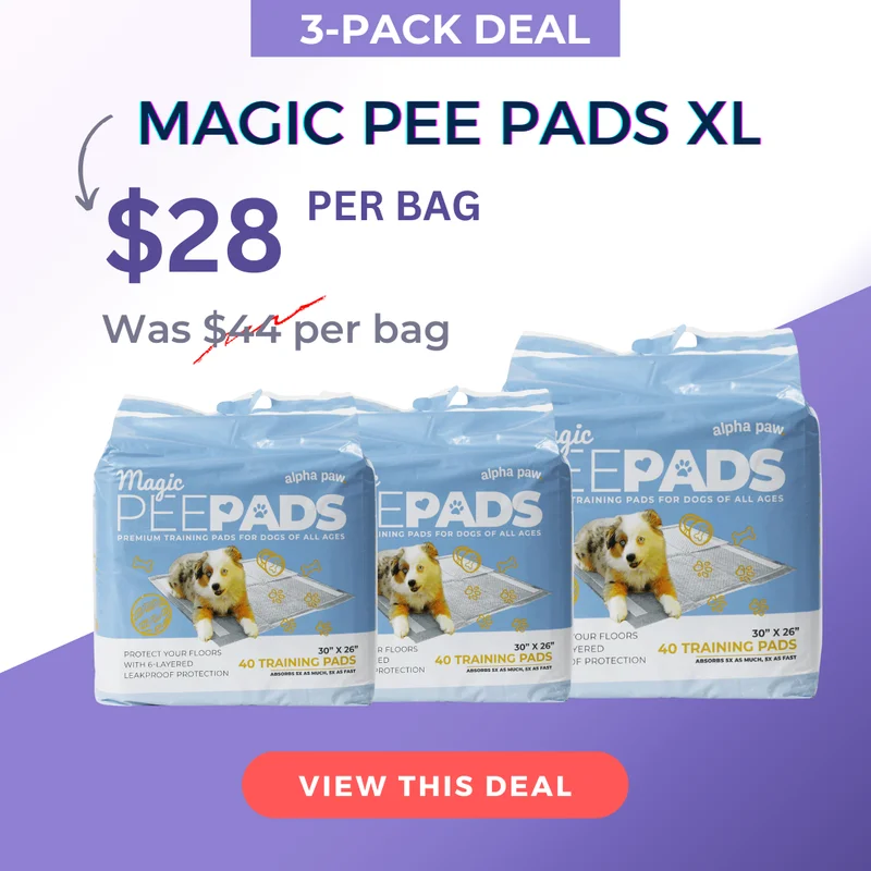 Magic Pee Pads XL