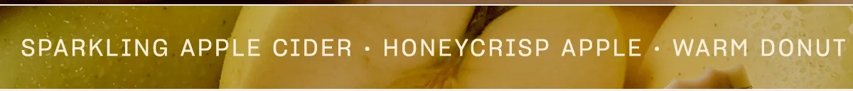 sparkling apple cider • honeycrisp apple • warm donut accord • cinnamon sugar • caramel glaze • madagascar vanilla